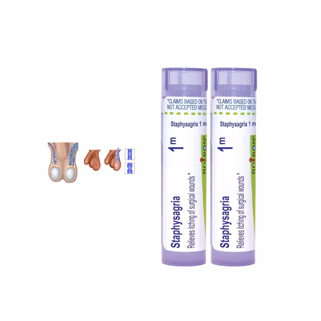 Staphysagria 1M – Homeopathic Remedy for Varicocele & Men's Health