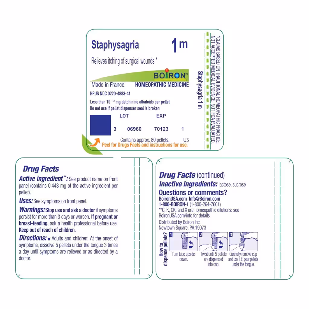 Staphysagria 1M – Homeopathic Remedy for Varicocele & Men's Health