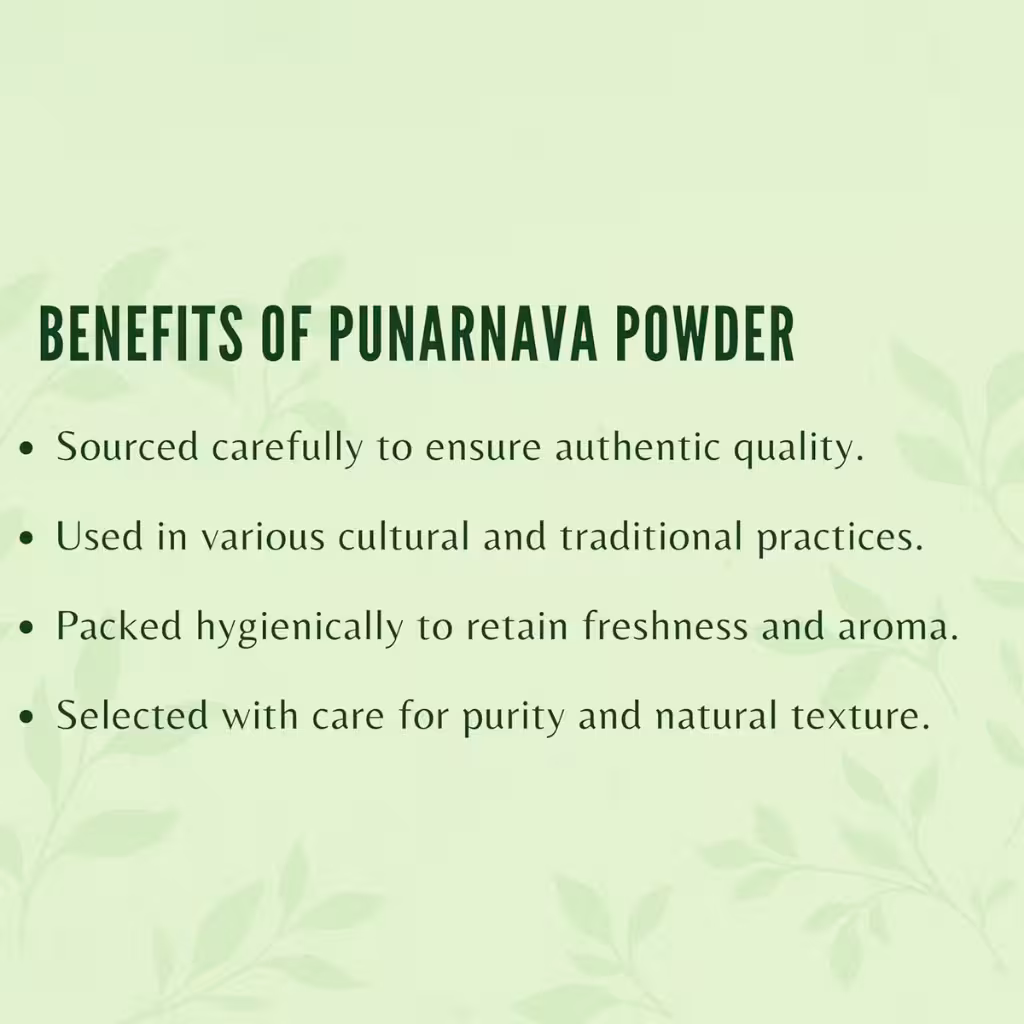 Punarnava (Boerhavia diffusa) – Ayurvedic Herb for Hydrocele & Fluid Balance