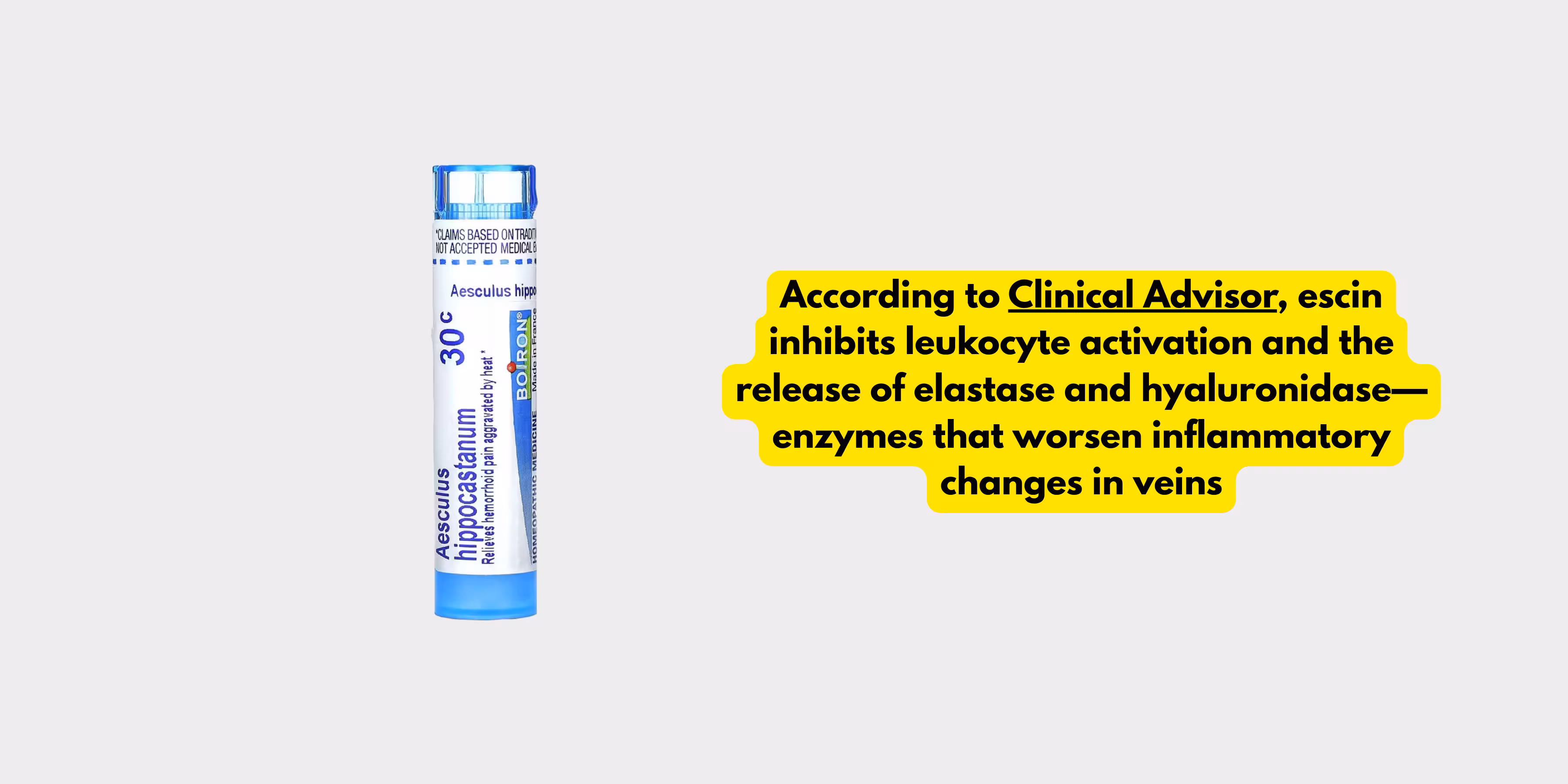 Aesculus Hippo 30CH for varicocele Natural Cure