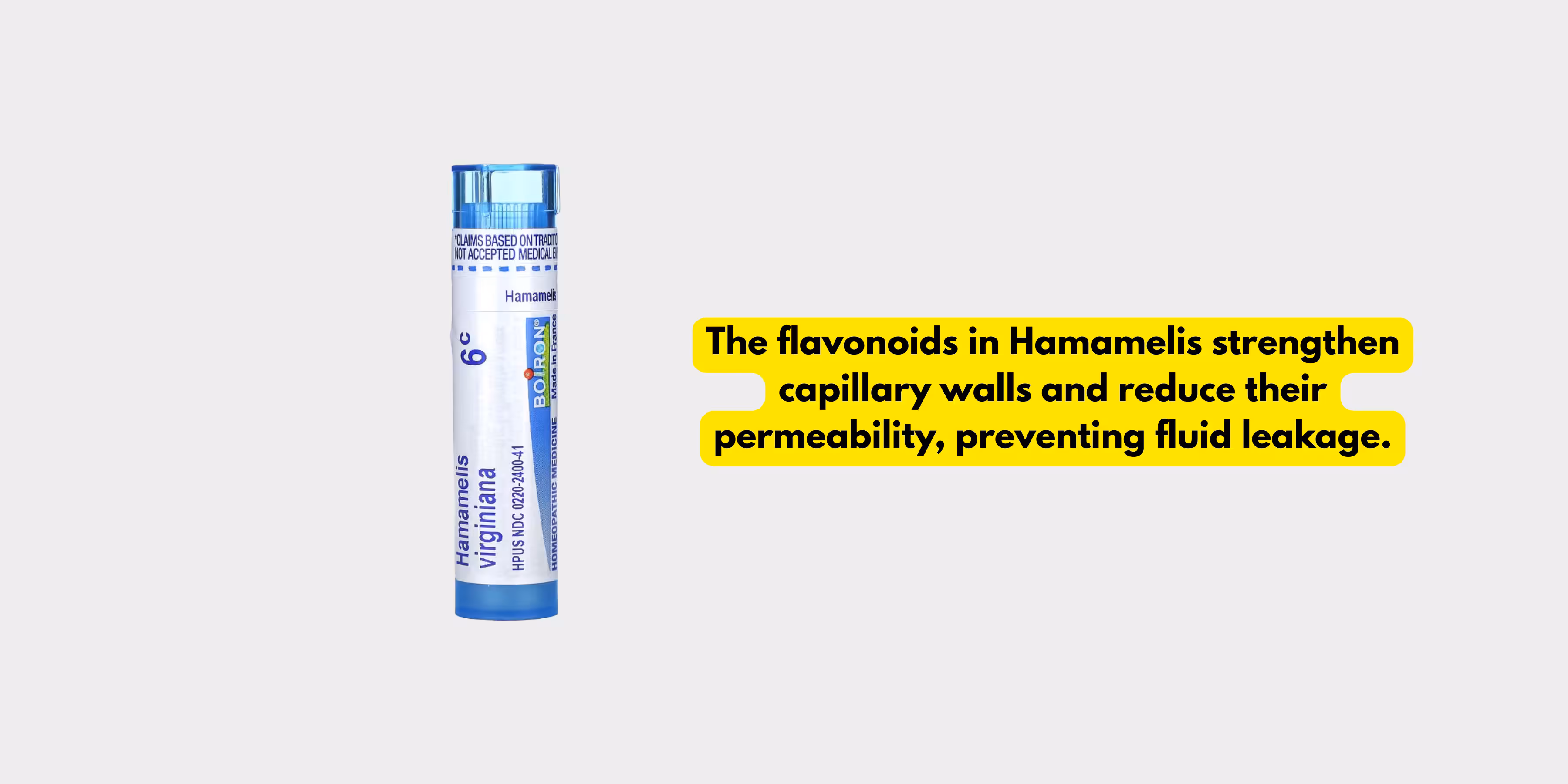 Hamamelis Q for Varicocele Cure 