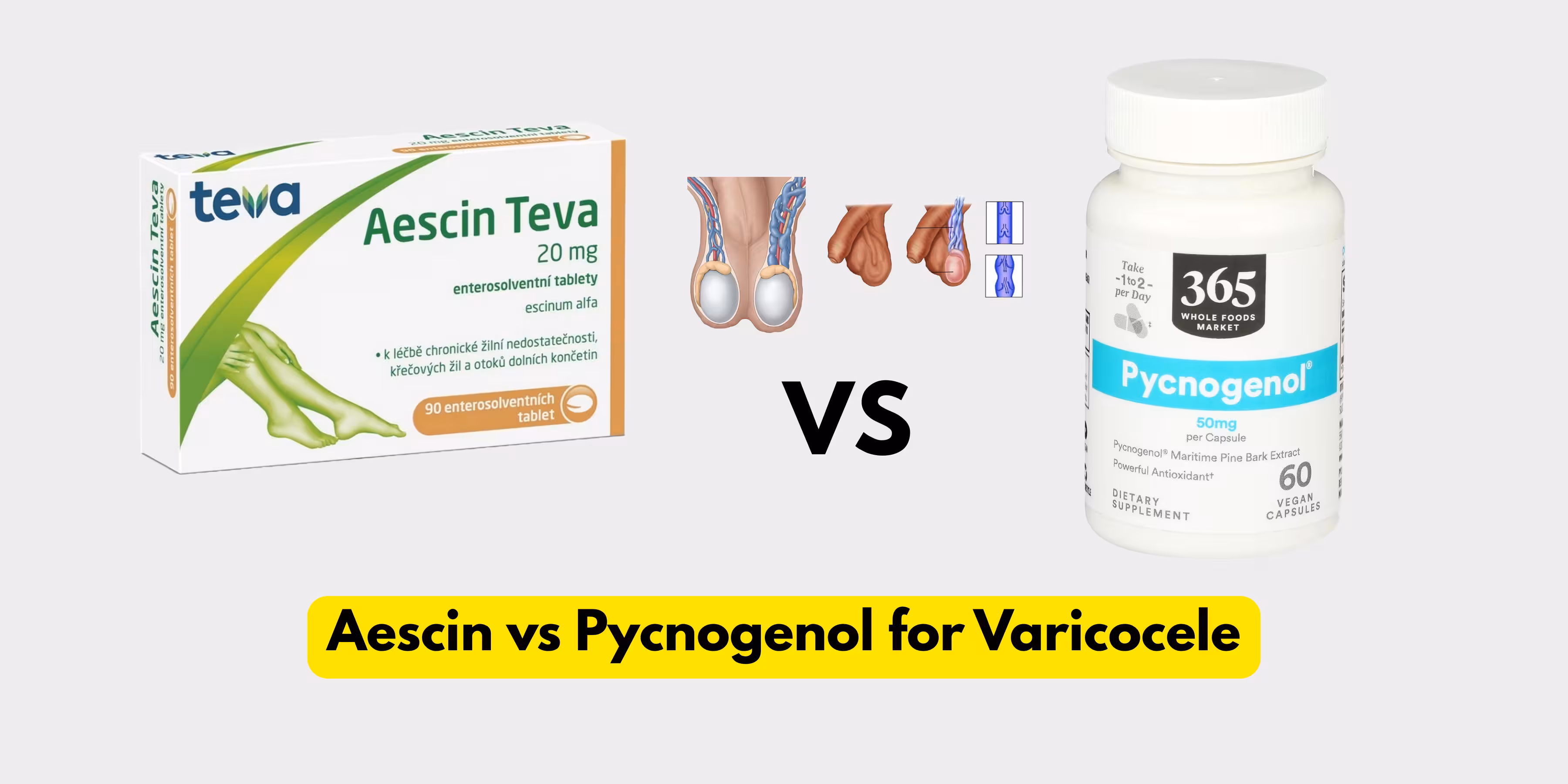 Split screen comparison of Aescin with horse chestnut seeds and Pycnogenol with pine bark for varicocele treatment