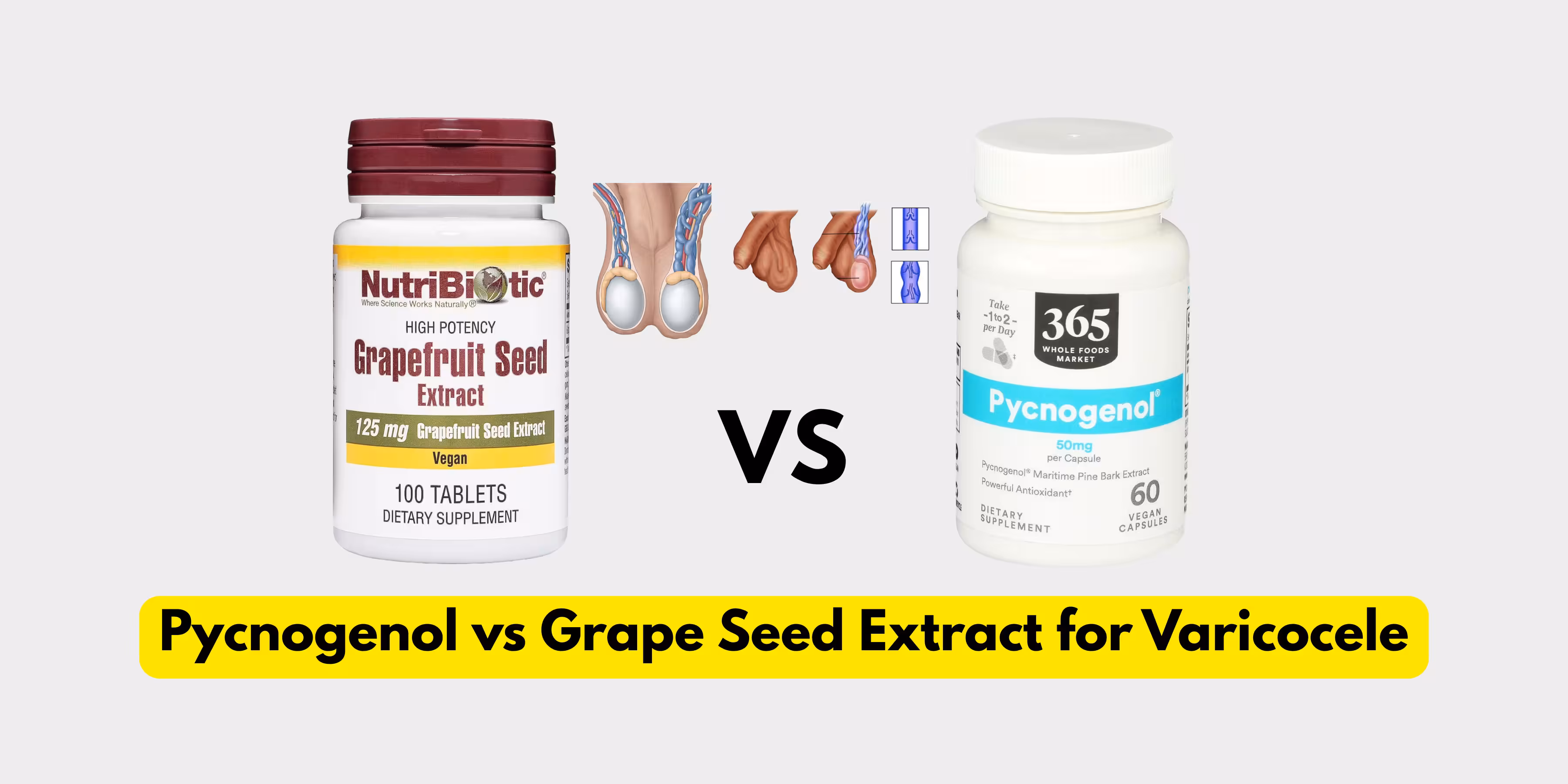 Pycnogenol Vs Grape Seed Extract for Varicocele