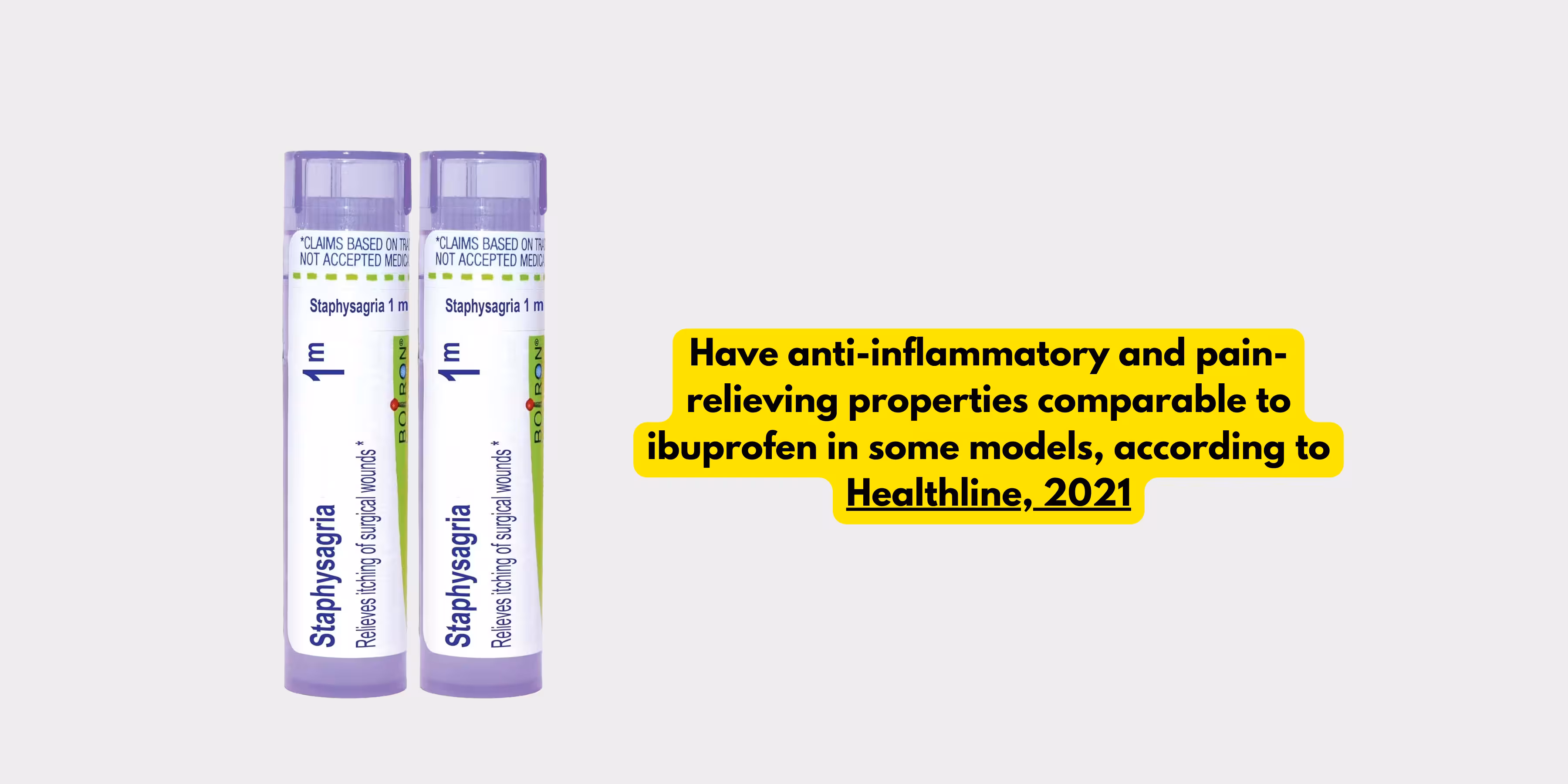 Staphysagira 1M for Varicocele Natural Cure Without Surgery